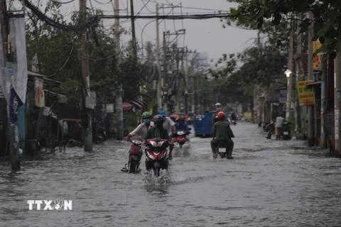 Khu vực đường Lê Văn Lương, huyện Nhà Bè bị ngập sâu do triều cường. (Ảnh: Xuân Dự/TTXVN)
