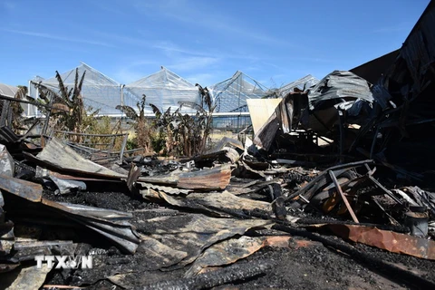 Lâm Đồng: Hỏa hoạn thiêu rụi một xưởng gỗ, lửa lan sang nhà dân