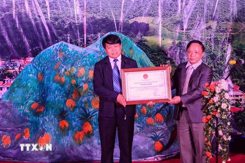 Lãnh đạo huyện Mường Chà đón nhận bằng chứng nhận di sản văn hóa phi vật thể cấp quốc gia. (Ảnh: Văn Dũng/TTXVN)