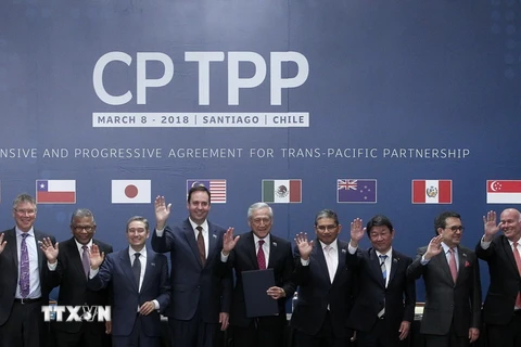 Bộ trưởng Công thương Trần Tuấn Anh (phải) cùng đại diện 10 nước tham gia lễ ký Hiệp định CPTPP chụp ảnh chung tại hội nghị ở Santiago ngày 8/3. (Nguồn: AFP/TTXVN)