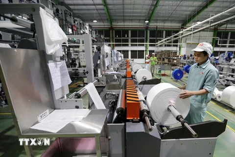 Sản xuất bao bì đóng gói sản phẩm tại nhà máy của Công ty An Phát. (Ảnh: Trần Việt/TTXVN)