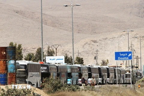 Xe buýt để sơ tán các gia đình phiến quân khỏi thành phố Harasta ngày 22/3. (Nguồn: THX/TTXVN)