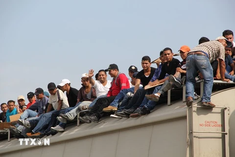  Người di cư Trung Mỹ tới bang Chiapas, Mexico để tìm đường sang Mỹ ngày 16/7/2014. (Nguồn: AFP/TXTVN)