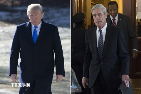 Tổng thống Mỹ Donald Trump (trái) sẵn sàng trả lời chất vấn Công tố viên đặc biệt Robert Mueller (phải). (Nguồn: AFP/TTXVN)