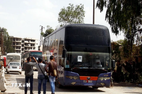  Xe chở phiến quân và gia đình sơ tán khỏi thị trấn Yalda, Babila và Beit Sahem, Syria ngày 3/5. (Nguồn: THX/TTXVN)