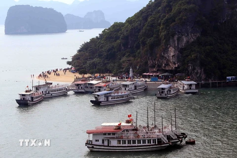 Bến tàu đưa du khách lên thăm đảo Titov ở Vịnh Hạ Long. (Ảnh: Quang Quyết/TTXVN)