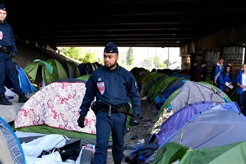 Cảnh sát Pháp kiểm tra các lều bị bỏ lại sau khi di tản những người di cư khỏi trại Millenaire. (Nguồn: PressTV)