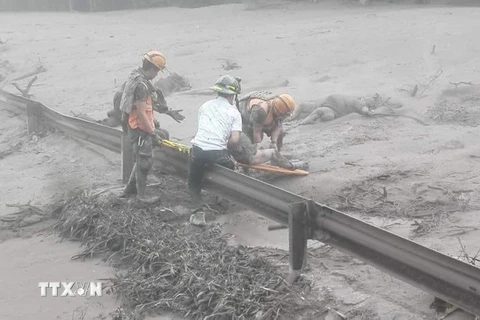  Lực lượng cứu hộ giải cứu nạn nhân sau vụ núi lửa Fuego phun trào tại Guatemala ngày 6/6. (Nguồn: EPA/TTXVN)