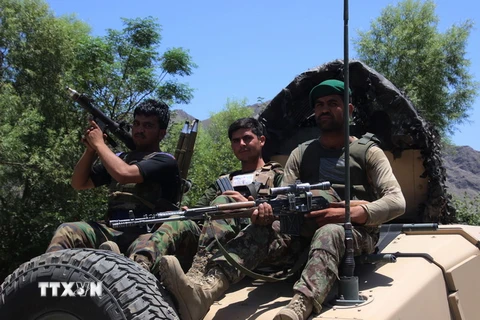 Lực lượng an ninh Afghanistan trong chiến dịch chống IS tại tỉnh Kunar ngày 7/7. (Ảnh: THX/TTXVN)