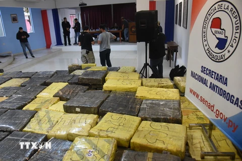 Cảnh sát Paraguay trưng bày số cần sa thu giữ trong các chiến dịch truy quét tội phạm ma túy ở Guayaibi. (Ảnh: AFP/TTXVN)