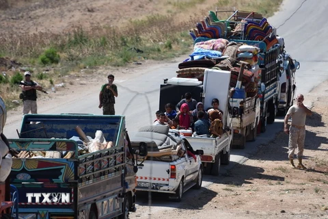  Đoàn xe chở người dân Syria di tản khỏi khu vực do phiến quân chiếm đóng ở tỉnh Idlib ngày 23/6. (Ảnh: AFP/TTXVN)