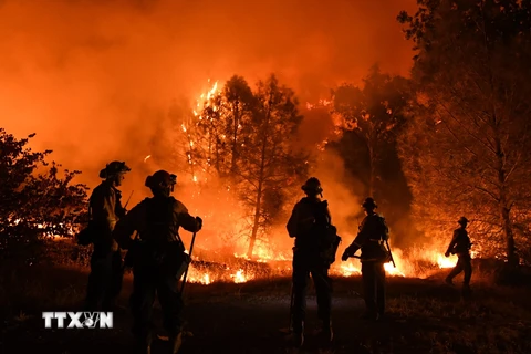 Lính cứu hỏa làm nhiệm vụ tại khu vực cháy rừng ở bang California, Mỹ ngày 1/8. (Ảnh: THX/TTXVN)