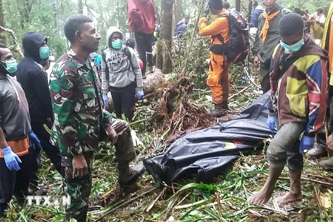  Lực lượng cứu hộ làm nhiệm vụ tại hiện trường vụ tai nạn máy bay ở Oksibil, Indonesia ngày 12/8. (Ảnh: AFP/TTXVN)