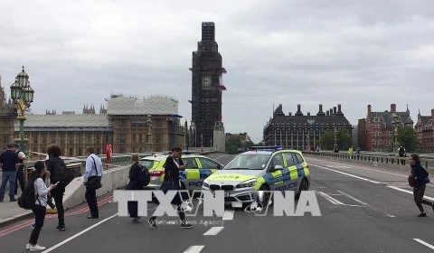 Cảnh sát phong tỏa hiện trường vụ đâm xe vào hàng rào an ninh bên ngoài tòa nhà Quốc hội Anh ở thủ đô London ngày 14/8. (Ảnh: AFP/TTXVN)