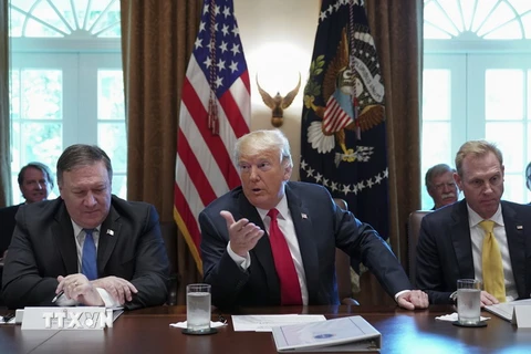  Tổng thống Mỹ Donald Trump (giữa) trong cuộc họp nội các ở Washington DC., ngày 16/8. (Ảnh: AFP/TTXVN)