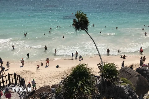 Khách du lịch tắm biển tại bang Quintana Roo, Mexico. (Nguồn: AFP/TTXVN)