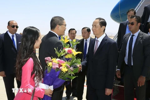  Các quan chức chính quyền tỉnh Luxor đón Chủ tịch nước Trần Đại Quang và Phu nhân tại sân bay quốc tế Luxor. (Ảnh: Nhan Sáng/TTXVN)