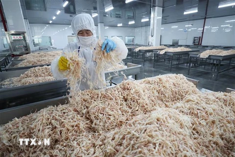 Chế biến hải sản xuất khẩu tại nhà máy ở Liên Vân Cảng, tỉnh Giang Tô, Trung Quốc ngày 5/7. (Nguồn: AFP/ TTXVN)