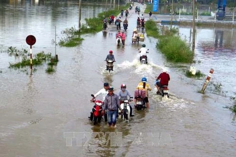 Các huyện Phú Hòa, Đông Hòa, Tuy An, Đồng Xuân… của tỉnh Phú Yên bị ngập trong nước do bão số 12. (Ảnh: Thế Lập/TTXVN)