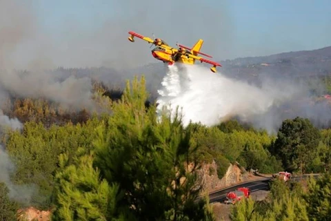 Máy bay dập lửa tại khu vực làng Charneca trong công viên quốc gia Sintra, phía tây Lisbon. (Nguồn: AP)