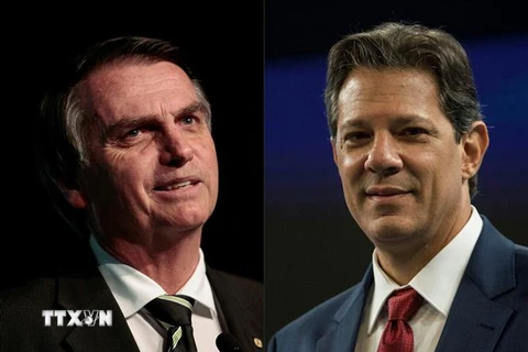 Ứng viên tranh cử Tổng thống của đảng Xã hội tự do (PSL) Jair Bolsonaro (trái) và ứng viên Tổng thống của đảng Lao động Brazil Fernando Haddad. (Ảnh: AFP/TTXVN)