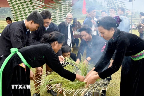 [Photo] Náo nức Lễ hội giã cốm đón Trăng của người Tày Tuyên Quang