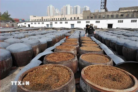 Đậu nành tại một nhà máy sản xuất nước tương ở Hong Kong, Trung Quốc. (Nguồn: AFP/TTXVN)