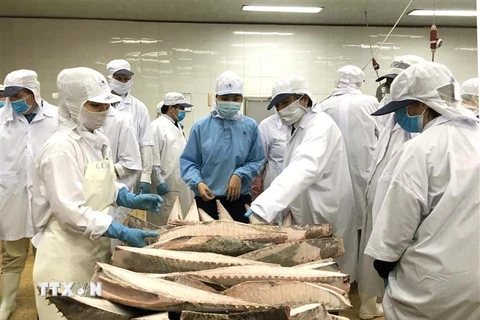 Đoàn Ủy ban Nghề cá của Nghị viện châu Âu kiểm tra tại Công ty Cổ phần thủy sản Bình Định. (Ảnh: Nguyên Linh/TTXVN)
