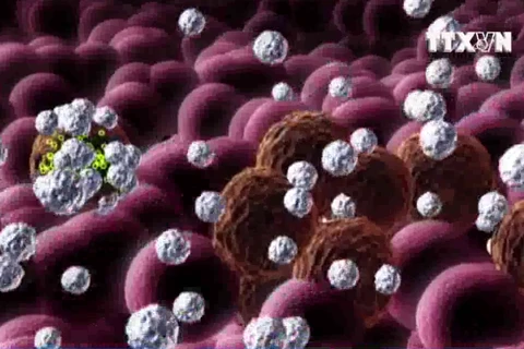 [Video] Chế tạo thành công loại virus diệt tế bào ung thư
