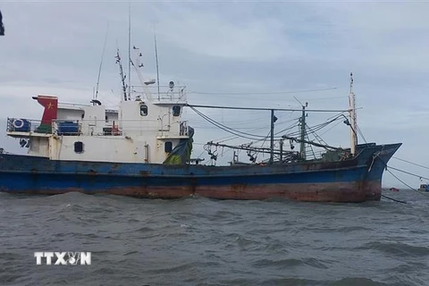 “Tàu 67” của ông Phạm Ngọc Hoàng, phường 3, thành phố Vũng Tàu đã nằm bờ gần 1 năm nay do tàu bị rỉ sét, máy tàu nhỏ không thể tải nổi thân tàu. (Ảnh: Hoàng Nhị/TTXVN)