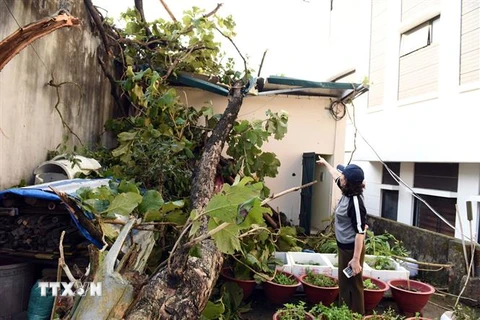 Mưa lớn và gió mạnh khiến nhiều nhà dân ở thành phố Tuyên Quang bị hư hại. (Ảnh: Quang Cường/TTXVN)