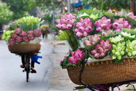 [Video] Hà Nội - Thành phố dịu dàng và quyến rũ kỳ lạ