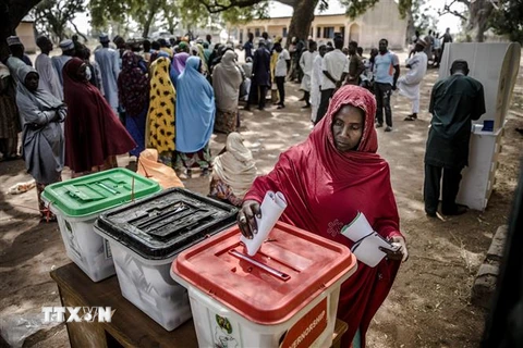 Cử tri Nigeria bỏ phiếu tại một địa điểm bầu cử ở Jimeta, bang Adamawa, ngày 23/2. (Ảnh: AFP/TTXVN)