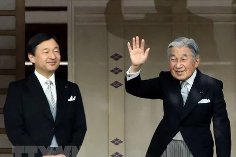 Nhật hoàng Akihito (phải) và Thái tử Naruhito. (Nguồn: AFP/TTXVN)