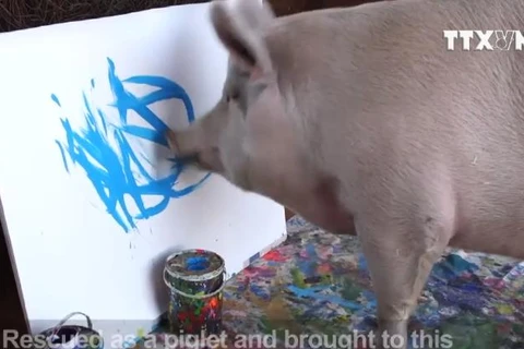 [Video] Mẫu đồng hồ đắt khách của Swatch được vẽ bởi một cô lợn