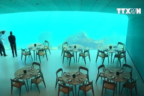 [Video] Kỳ thú nhà hàng nằm lơ lửng ở độ sâu 30m trong nước biển