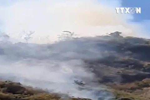 [Video] 6 hecta rừng đặc dụng Đèo Cả tại Phú Yên bị thiêu rụi