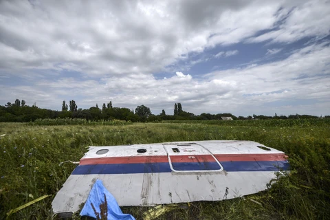 Một phần xác máy bay MH17 trên cánh đồng gần làng Grabove, vùng Donetsk, miền đông Ukraine ngày 20/7/2014. (Ảnh: AFP/TTXVN)