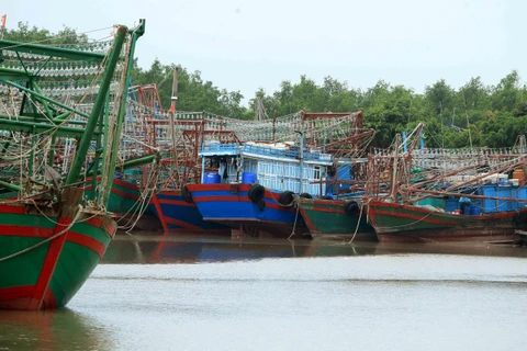 Các phương tiện tàu, thuyền về neo đậu tránh trú bão an toàn tại cảng cá Mắt Rồng, Hải Phòng. (Ảnh: An Đăng/TTXVN)