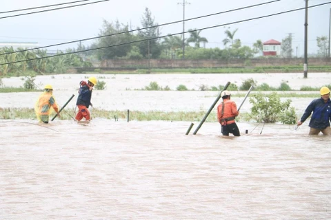 Công nhân Điện lực Kim Thành (Hải Dương) dầm mình trong mưa bão để khắc phục sự cố lưới điện. Ảnh: Mạnh Minh/TTXVN)