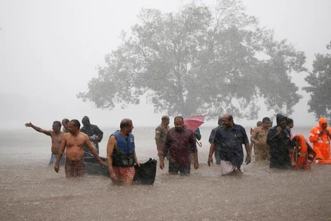 Các thành viên của đội cứu hộ lội qua khu vực ngập nước ở ngoại ô Kochi thuộc bang miền nam Kerala, Ấn Độ, ngày 8/8. (Nguồn: Reuters)