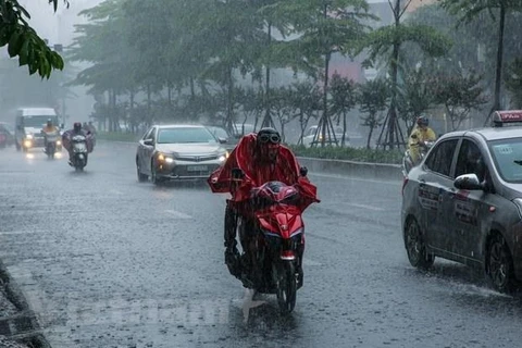 Các tỉnh Bắc Bộ và Bắc Trung Bộ sẽ có mưa to đến rất to. (Ảnh: Lê Minh Sơn/Vietnam+)