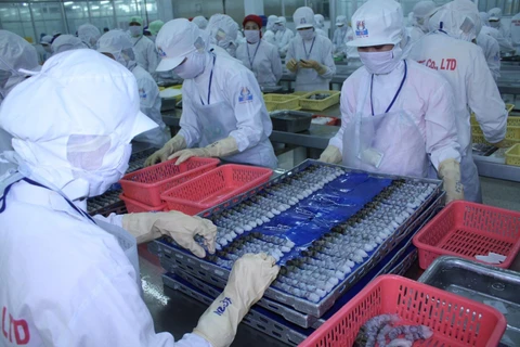 Chế biến tôm xuất khẩu tại Công ty TNHH kinh doanh chế biến Thủy sản xuất nhập khẩu Quốc Việt. (Ảnh: TTXVN)