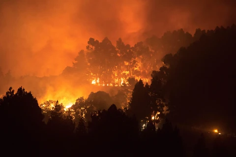 Ngày 17/8/2019 cũng đã xảy ra cháy rừng ở đảo Gran Canaria, Tây Ban Nha. (Ảnh: AFP/TTXVN)
