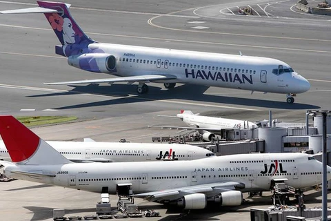 Liên doanh Hawaiian Airlines và Japan Airlines không được miễn trừ chống độc quyền. (Nguồn: staradvertiser.com)