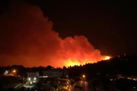 Cháy rừng bùng phát ở Liban. (Nguồn: arabnews.com)