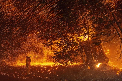 Lửa cháy dữ dội gần Geyserville, bang California (Mỹ) ngày 24/10/2019. (Ảnh: AFP/TTXVN)