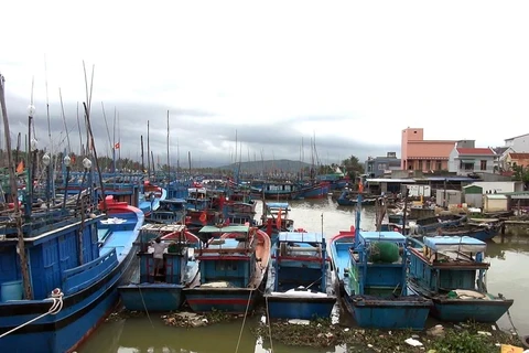 Đến chiều 29/10/2019, Bình Định đã kêu gọi được hơn 5.000 tàu thuyền vào bờ trú ẩn an toàn. (Ảnh: Nguyên Linh/ TTXVN)