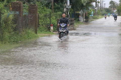 Do ảnh hưởng của bão, mưa lớn nhiều tuyến đường giao thông tại huyện Tuy An, Phú Yên đã bị ngập. (Ảnh: Phạm Cường/TTXVN)