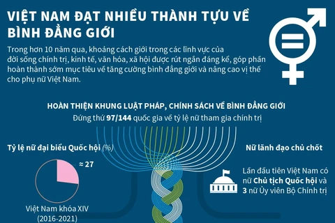[Infographics] Việt Nam đạt nhiều thành tựu về bình đẳng giới